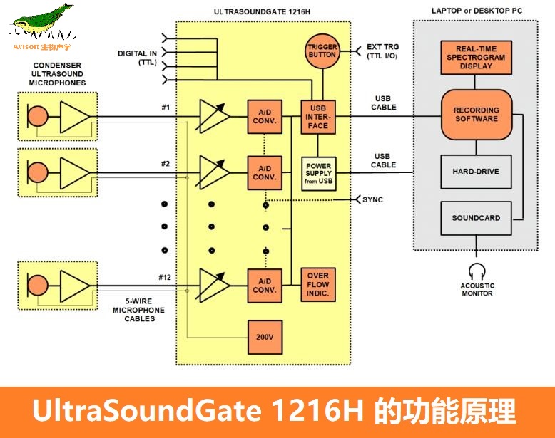 UltraSoundGate 1216H-3.jpg